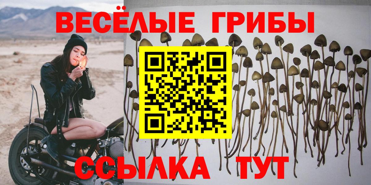 Галлюциногенные грибы прущие грибы Ялта