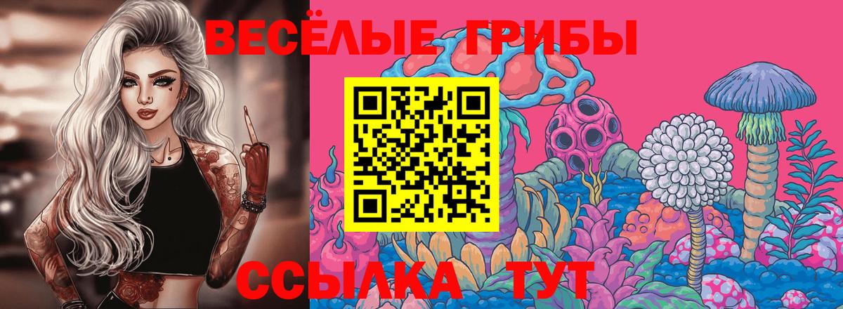 Ялта  Галлюциногенные грибы мицелий  Вход с VPN 